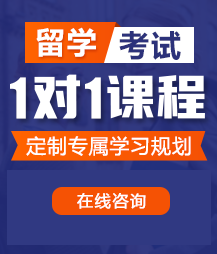 变态鸡巴捅洞洞视频网站留学考试一对一精品课